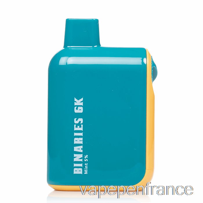 Horizon Binaires 6k 6000 Stylo Vape Jetable à La Menthe